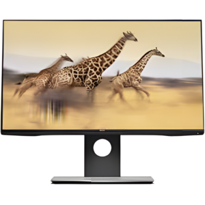 Dell 22 Inch LED edge edge Monitor EXUK