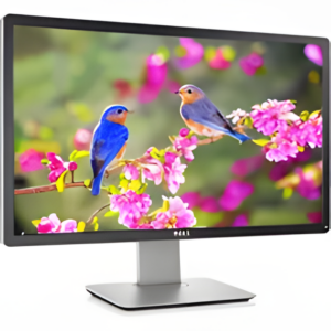 Dell 24-Inch Screen LED-Lit Monitor, E-Series